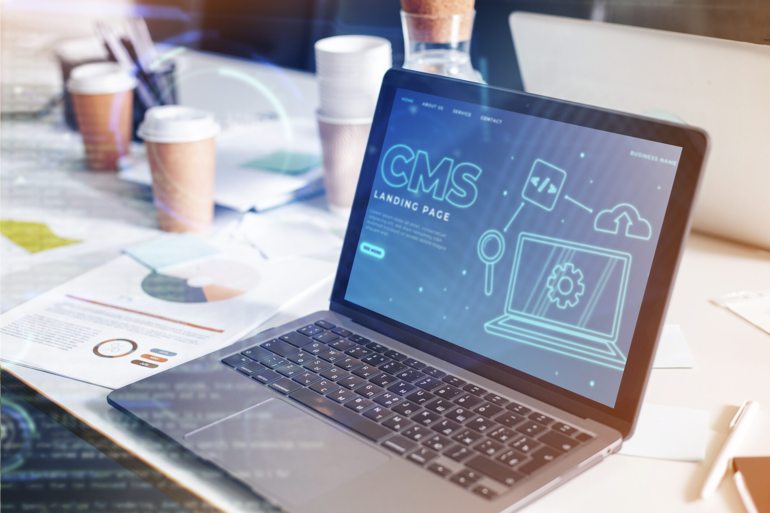 eCommerce CMS Maintenance